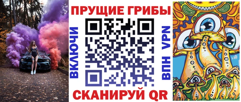 Псилоцибиновые грибы прущие грибы  Купить где  Медногорск 